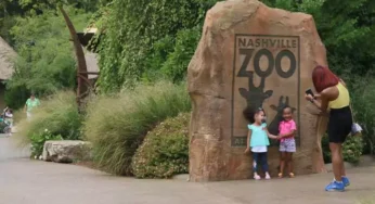 21 Top Rated Zoos in the United States for Wildlife Experiences