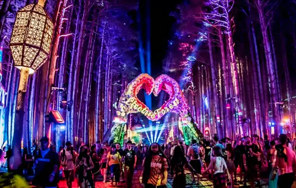 electric forest