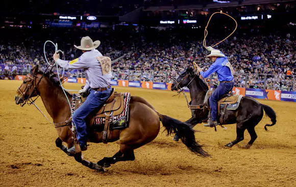 houston livestock show and rodeo