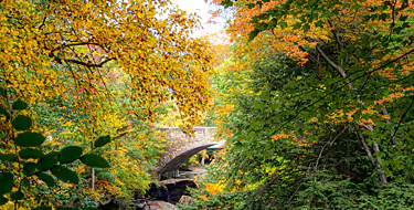 Cleveland Metroparks Zoo