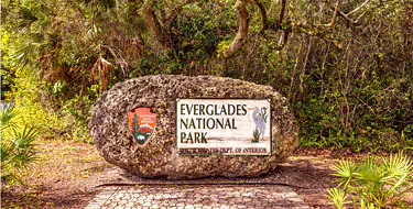 Everglades national park