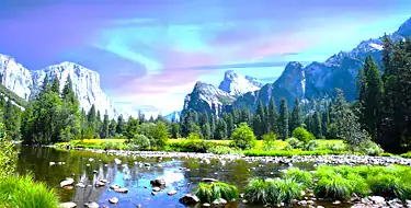 Absorb the beauty of Yosemite National Park