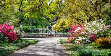 Brookgreen Gardens