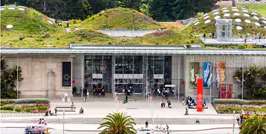 california academy of sciences