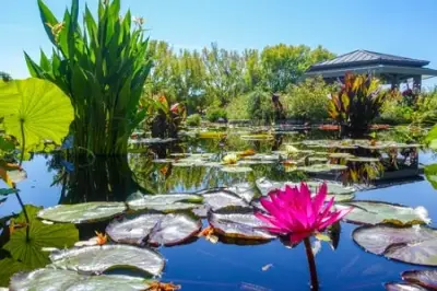 Denver Botanic Gardens