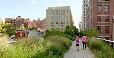 Experience the High Line