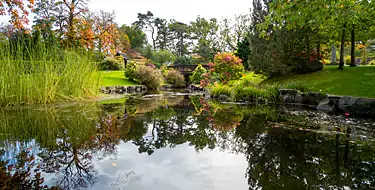 Explore the nature of Japan at Shinzen Friendship Garden