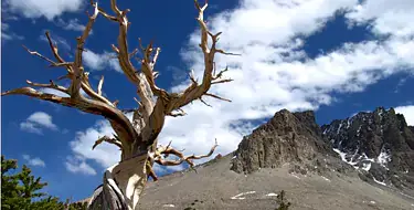 great basin national park 21 feb