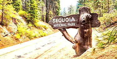 Hike along the trails in Sequoia National Park