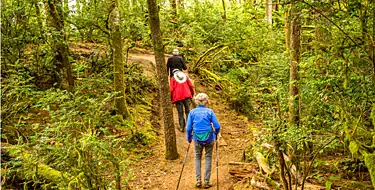 Hike trails at Fontenelle Forest for nature lovers