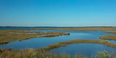 Assateague Island