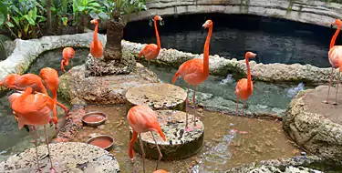 Dallas World Aquarium