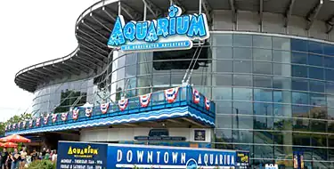 Downtown Aquarium