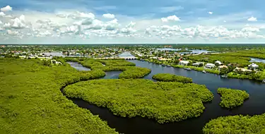 Everglades National Park (nearby)