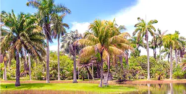 Fairchild Tropical Botanic Garden