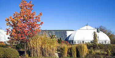 Garfield Park Conservatory