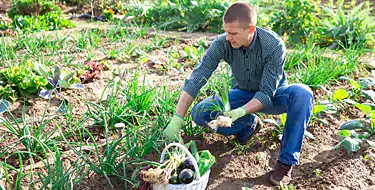 Heifer Village and Urban Farm