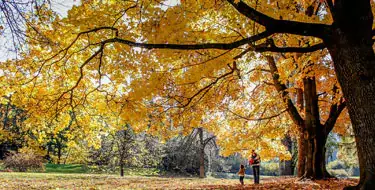 John A. Finch Arboretum