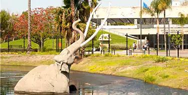 La Brea Tar Pits