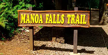 Manoa Falls