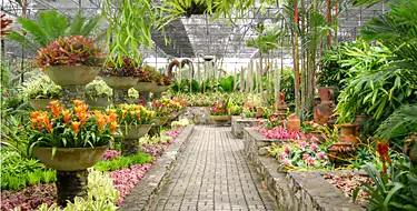 Mitchell Park Horticultural Conservatory (The Domes)