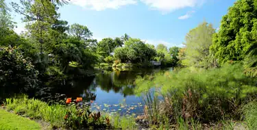 Mounts Botanical Garden