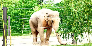 Oregon Zoo