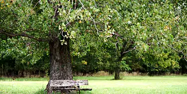 Oxley Nature Center