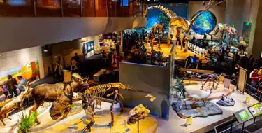 Perot Museum of Nature and Science