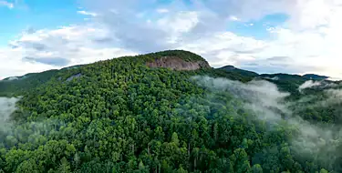 Pisgah National Forest