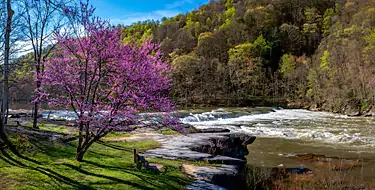 Redbud Valley Nature Preserve