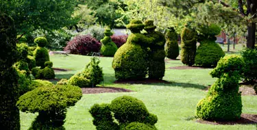 The Topiary Park