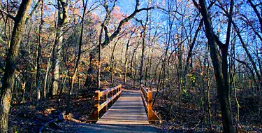 Turkey Mountain Urban Wilderness Area