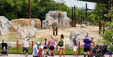 Kansas City Zoo 