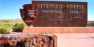 petrified forest national park