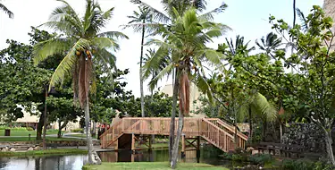 Polynesian Cultural Center