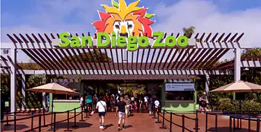 san diego zoo