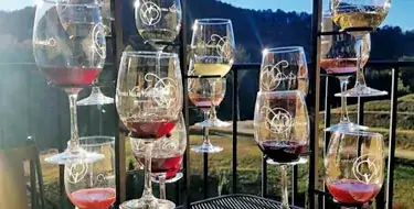 Take a Wine Tasting Tour