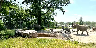 Visit the Henry Doorly Zoo and Aquarium for world-class exhibits