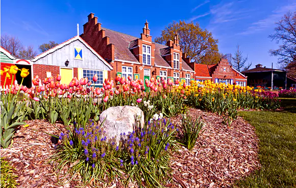 tulip time festival