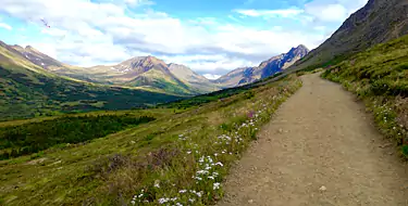 Climb To The Flattop Mountain 