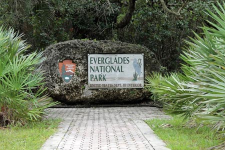 Explore the Everglades National Park