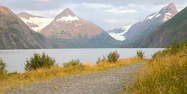 Walk amidst the Portage Glacier 