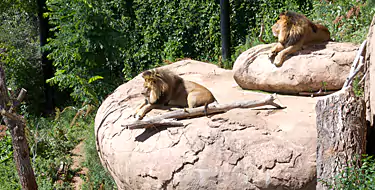 Cheyenne Mountain Zoo