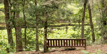 Jacksonville Arboretum & Gardens